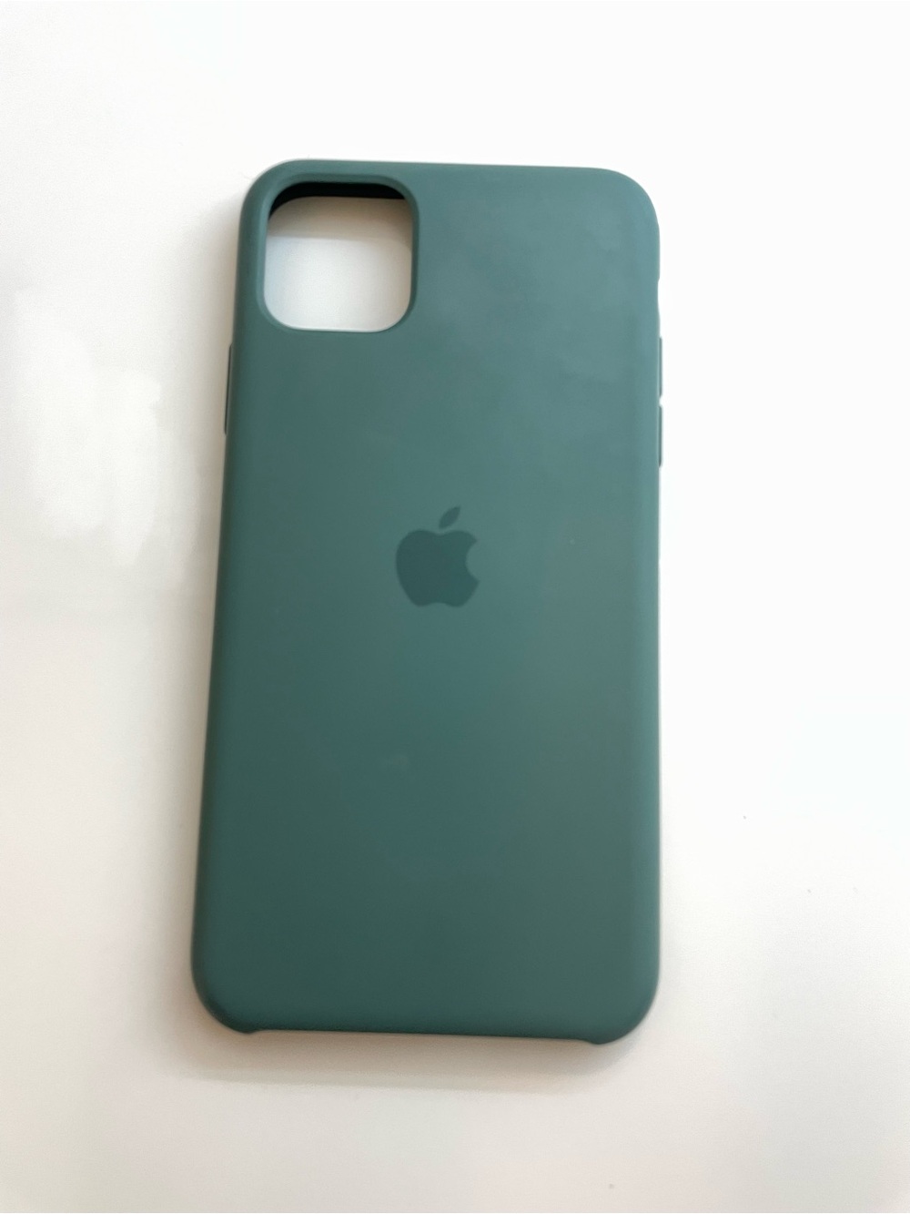 Apple Silicone iPhone Case - Teal